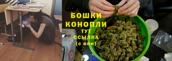 шишки Тында
