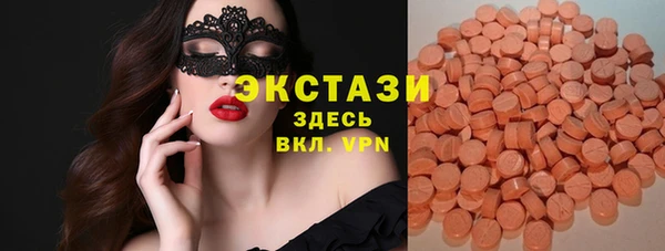 шишки Тында