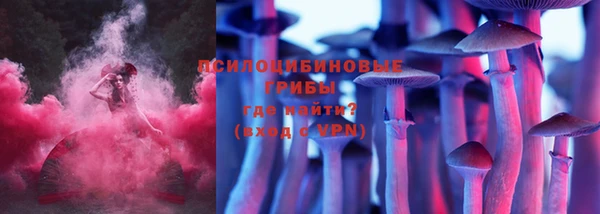 шишки Тында
