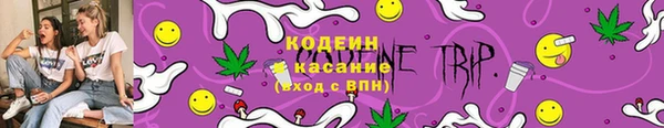 шишки Тында