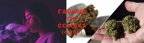 шишки Тында
