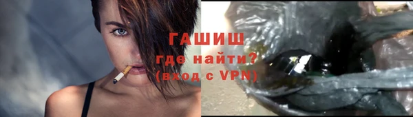 шишки Тында