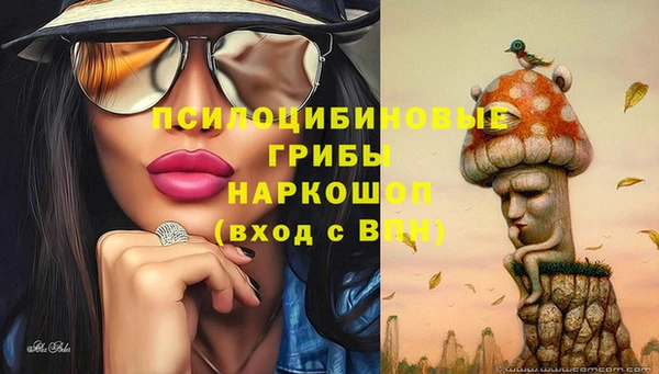 a pvp Тутаев