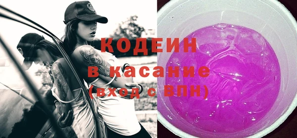 шишки Тында