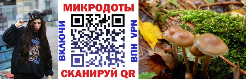 Галлюциногенные грибы Psilocybine cubensis  продажа наркотиков  блэк спрут вход  Казань 