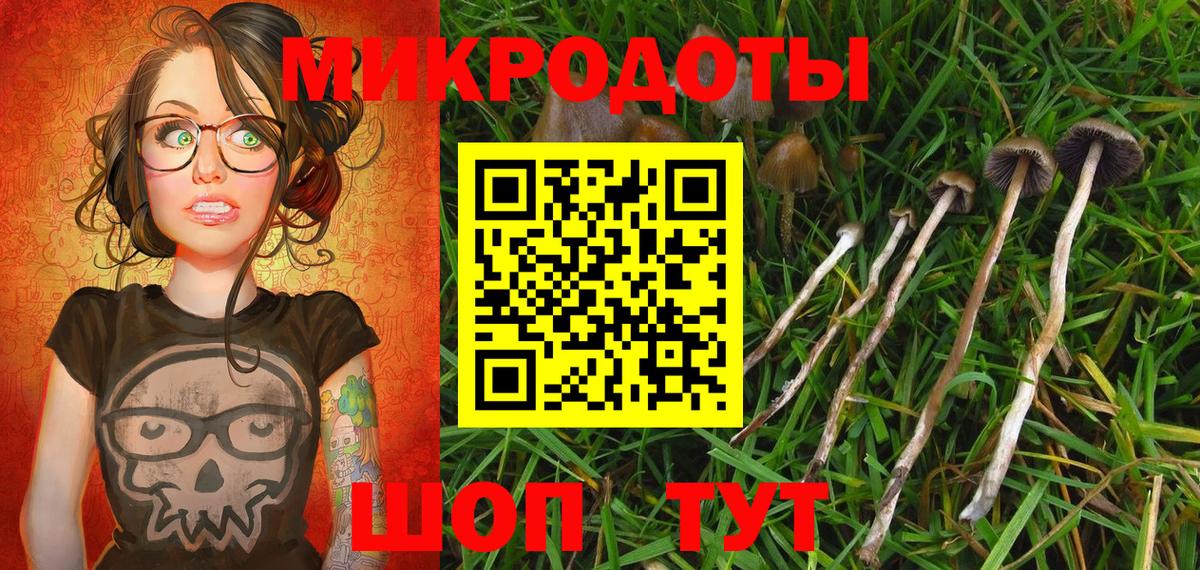 Галлюциногенные грибы Magic Shrooms Казань